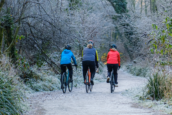 How To Choose A Bike banner